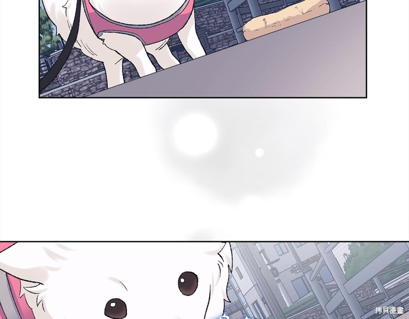 114.jpg