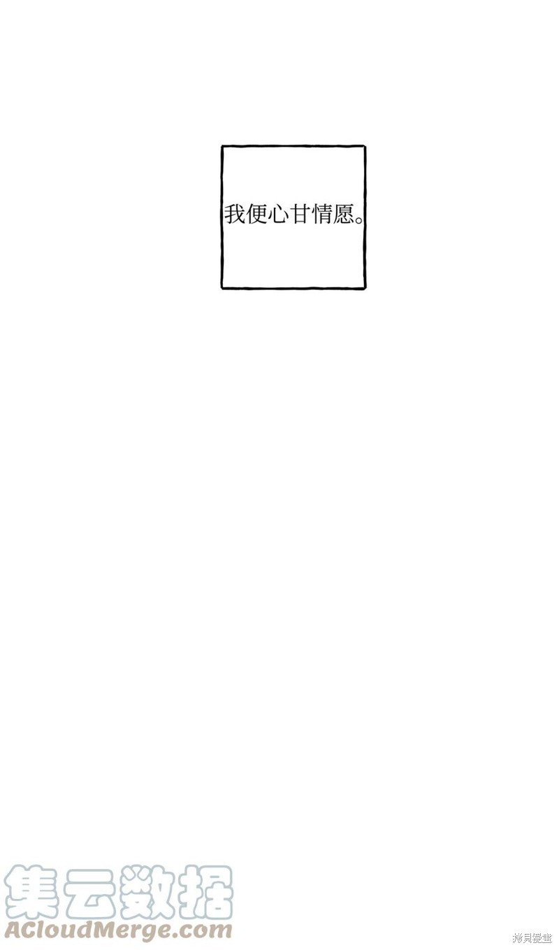 64.jpg
